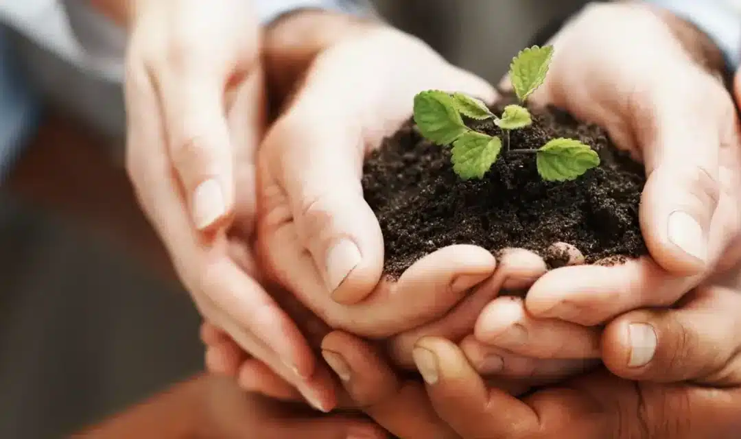 Nonprofit & NGOs
